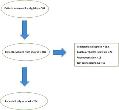 Prognostic factors in gastric cancer patients: a 10-year mono-institutional experience